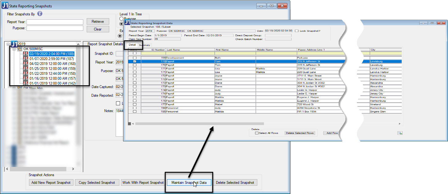 State Reporting Snapshot Data window, Detail tab.